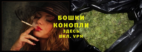 бошки Гусев