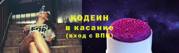 ПСИЛОЦИБИНОВЫЕ ГРИБЫ Вяземский