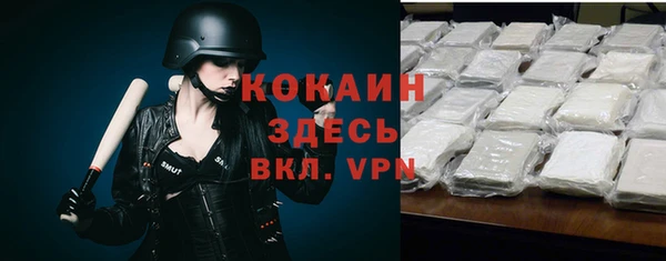 бошки Гусев