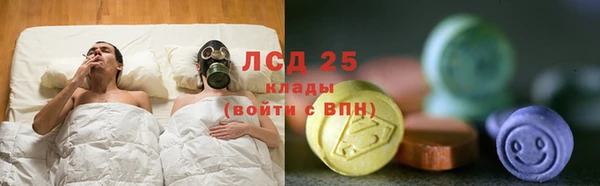 ПСИЛОЦИБИНОВЫЕ ГРИБЫ Вяземский