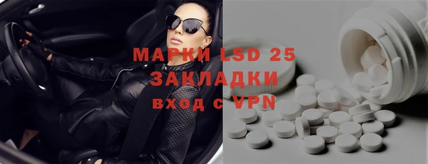 ПСИЛОЦИБИНОВЫЕ ГРИБЫ Вяземский