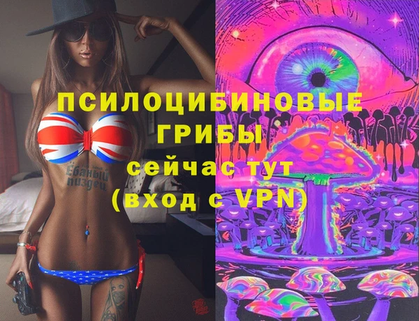 бошки Гусев