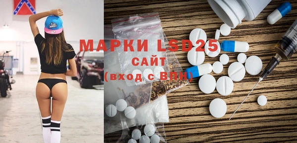 ПСИЛОЦИБИНОВЫЕ ГРИБЫ Вяземский