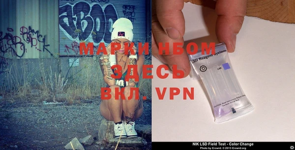 ПСИЛОЦИБИНОВЫЕ ГРИБЫ Вяземский