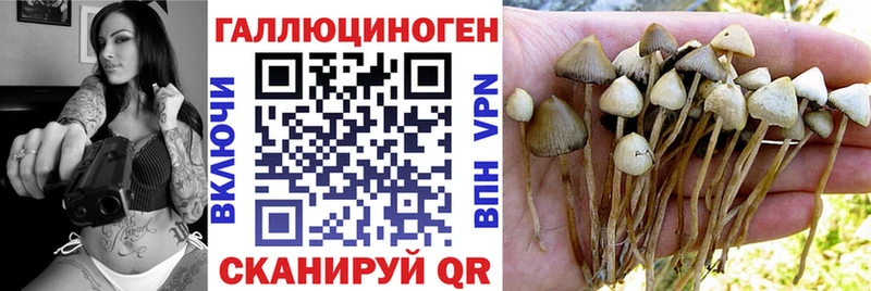 Псилоцибиновые грибы мухоморы  Енисейск 
